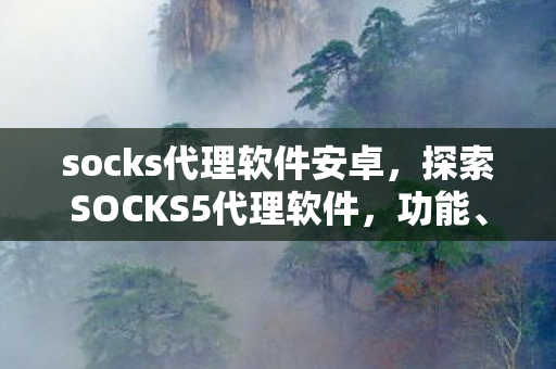 探索SOCKS5代理软件图片