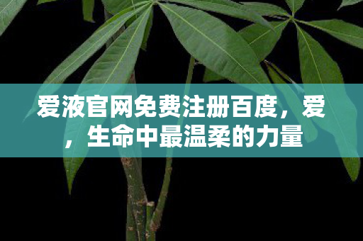 爱液官网免费注册百度图片