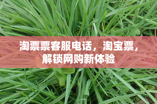 淘票票客服电话图片