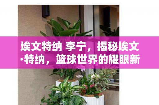 埃文特纳 李宁，揭秘埃文·特纳，篮球世界的耀眼新星