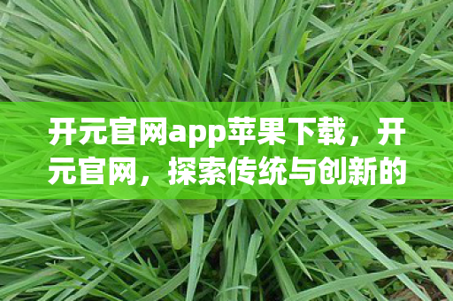 开元官网app苹果下载图片