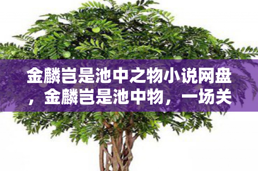 一场关于成长与蜕变的传奇之旅图片