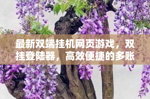 高效便捷的多账号管理工具图片