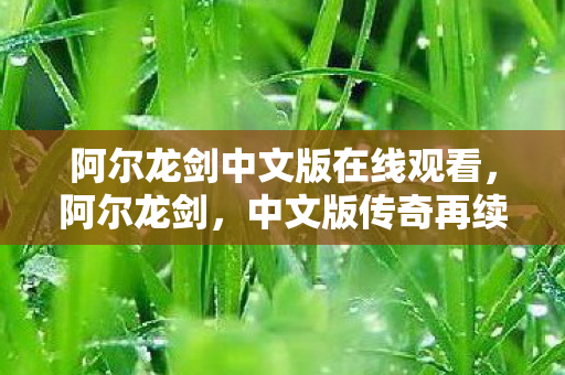 阿尔龙剑中文版在线观看图片