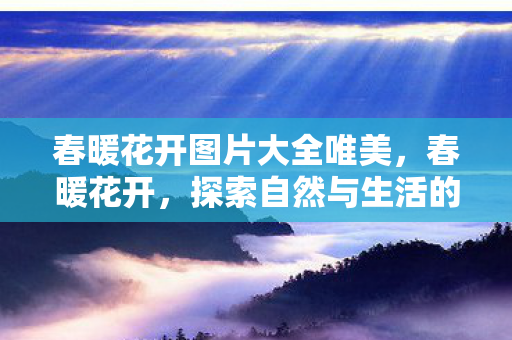 探索自然与生活的和谐之美图片