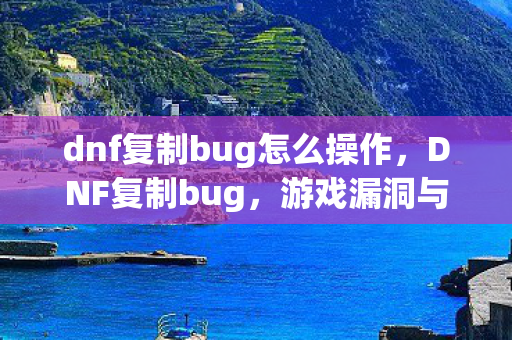 dnf复制bug怎么操作图片