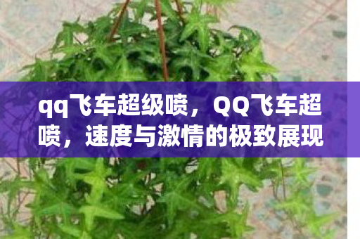 速度与激情的极致展现图片