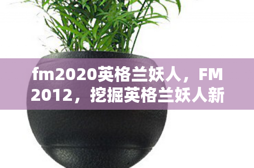 fm2020英格兰妖人图片