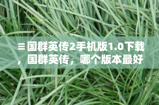 国群英传2手机版1图片