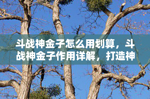 斗战神金子怎么用划算图片