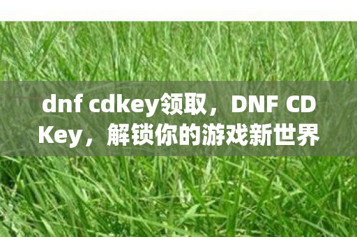 dnf cdkey领取图片