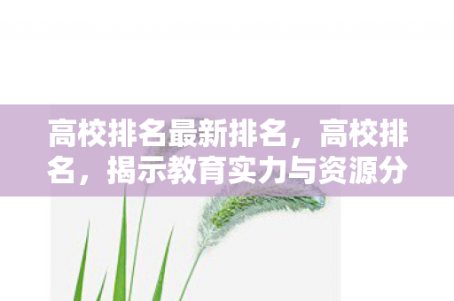 揭示教育实力与资源分配图片