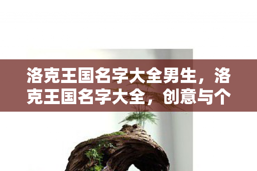 洛克王国名字大全男生图片