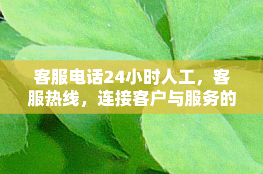 客服电话24小时人工图片