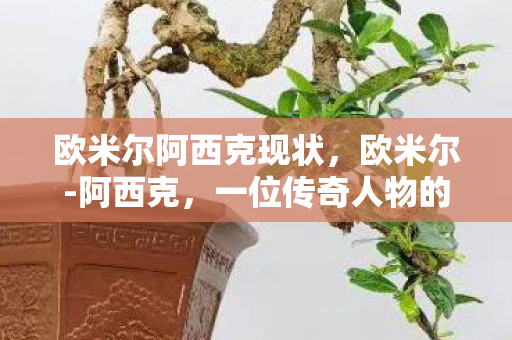 欧米尔阿西克现状，欧米尔-阿西克，一位传奇人物的崛起与影响