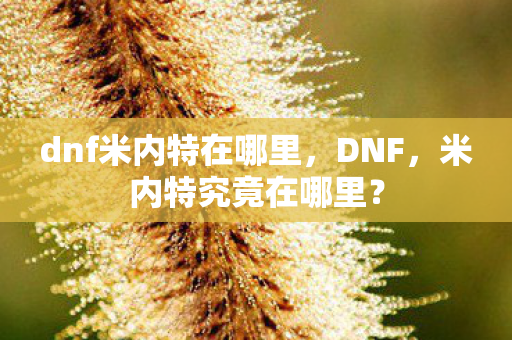 dnf米内特在哪里图片