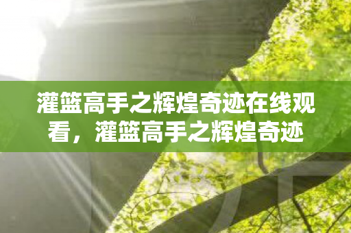 灌篮高手之辉煌奇迹在线观看图片