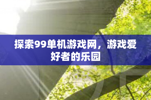 探索99单机游戏网，游戏爱好者的乐园