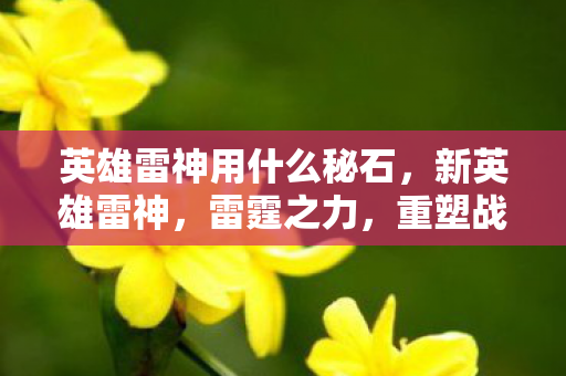 英雄雷神用什么秘石图片