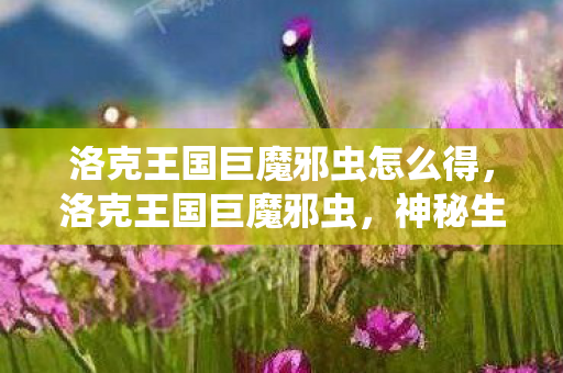 洛克王国巨魔邪虫怎么得图片