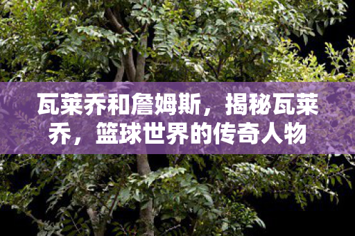 瓦莱乔和詹姆斯，揭秘瓦莱乔，篮球世界的传奇人物