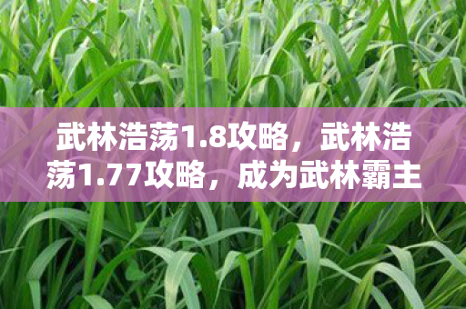 成为武林霸主的秘籍图片