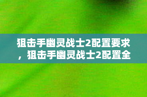 狙击手幽灵战士2配置全解析图片