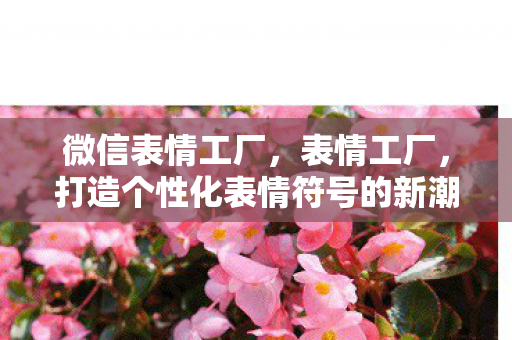 打造个性化表情符号的新潮流图片