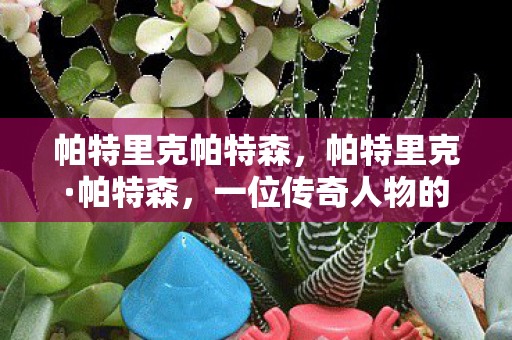 帕特里克帕特森，帕特里克·帕特森，一位传奇人物的闪耀人生