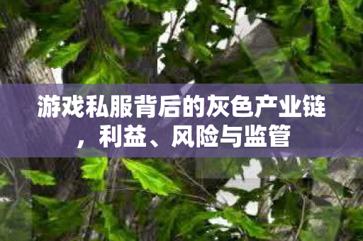 游戏私服背后的灰色产业链图片