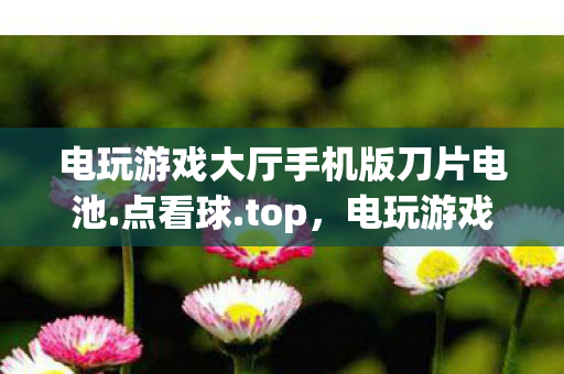 电玩游戏大厅手机版刀片电池图片