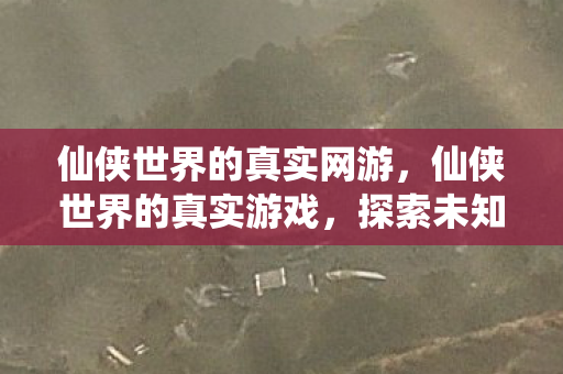 仙侠世界的真实网游图片