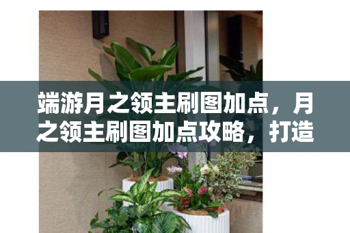 端游月之领主刷图加点图片