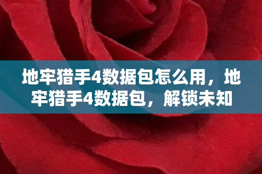 地牢猎手4数据包怎么用图片