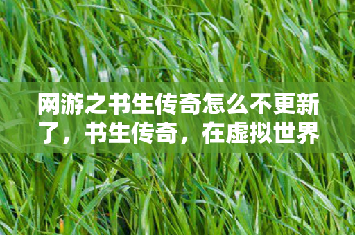 网游之书生传奇怎么不更新了图片