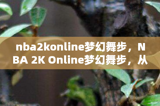 nba2konline梦幻舞步，NBA 2K Online梦幻舞步，从新手到高手的篮球之旅