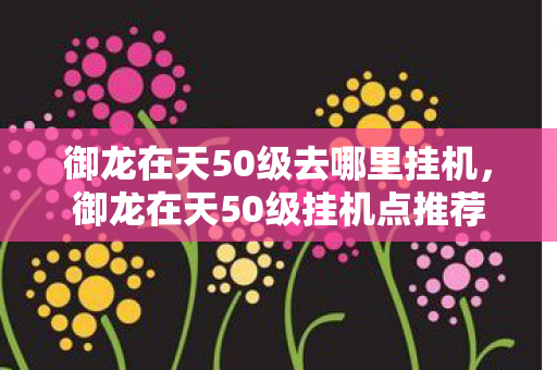 御龙在天50级去哪里挂机图片