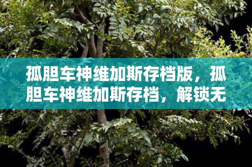 孤胆车神维加斯存档版图片