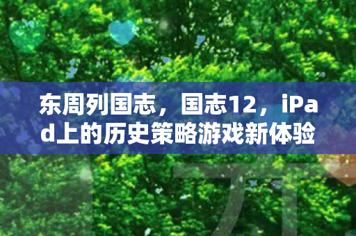 iPad上的历史策略游戏新体验图片