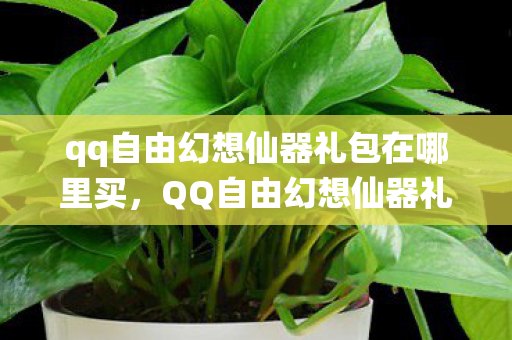 qq自由幻想仙器礼包在哪里买图片