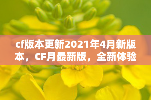 cf版本更新2021年4月新版本图片