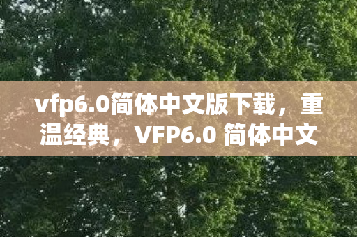 0 简体中文版的使用与体验图片