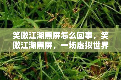 一场虚拟世界的意外之旅图片