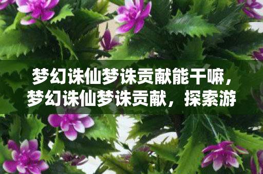 梦幻诛仙梦诛贡献能干嘛图片