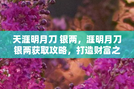 涯明月刀银两获取攻略图片