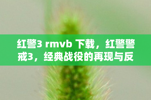 红警3 rmvb 下载图片