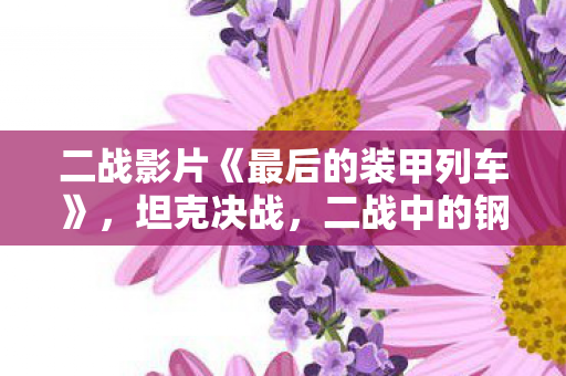 二战中的钢铁洪流与战术革新图片