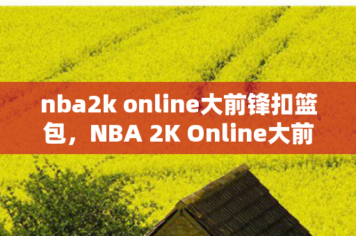 nba2k online大前锋扣篮包，NBA 2K Online大前锋，球场上的霸主之道