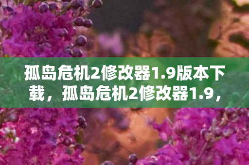 孤岛危机2修改器1图片