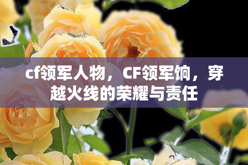 穿越火线的荣耀与责任图片